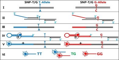 fig 2.jpg